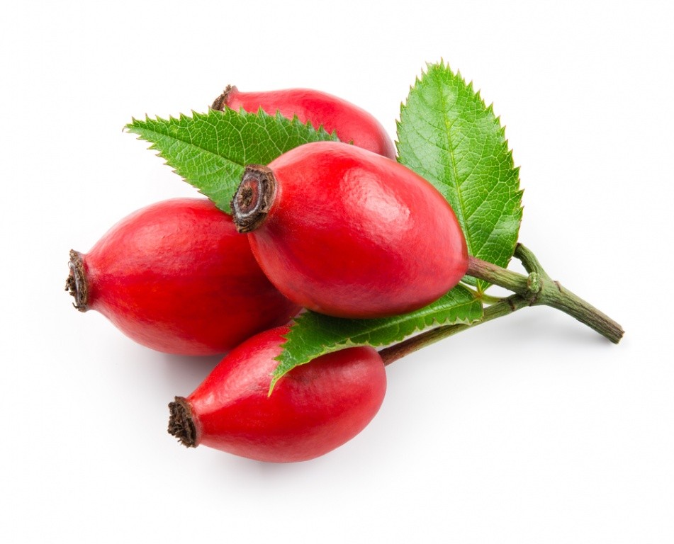 Rosa Canina Fruit Extract*