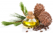 Cedrus Atlantica Wood Oil