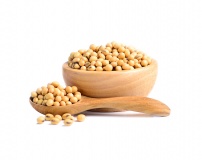 Glycine Soja (Soybean) Protein