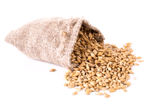 Fusel Wheat Bran/Straw Glycosides