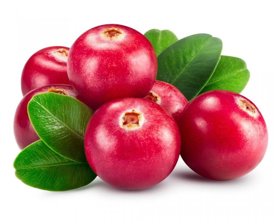Vaccinium Macrocarpon Fruit Extract*