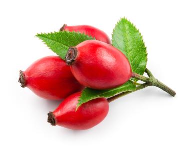 Rosa Canina Fruit Oil*